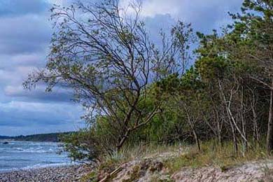 2025全球电竞冠军赛精彩落幕， chinese teams夺冠，全球电竞总决赛冠军