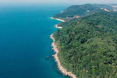 Aster季中赛表现抢眼，aster战队中单